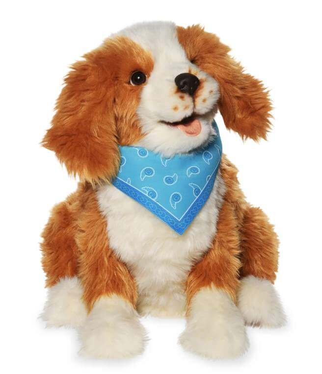 Hvalp, Cockerspaniel-image