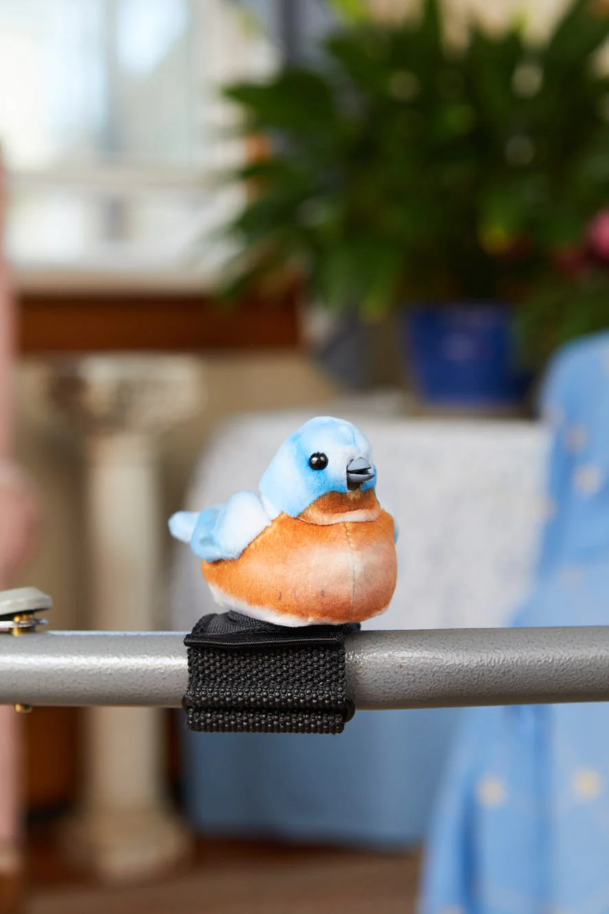 Fugl, blå Cardinal-image